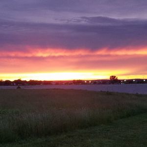 Meet your Posher, Patrick